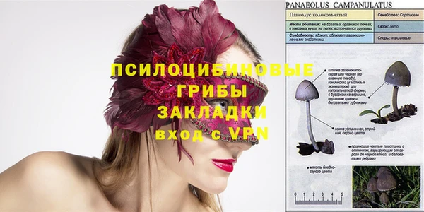 стафф Алексеевка